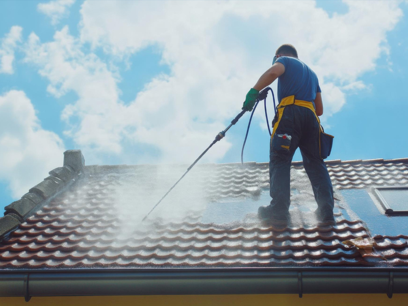 Nettoyage Toiture Canohès